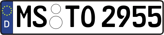 MS-TO2955