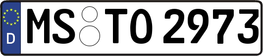 MS-TO2973