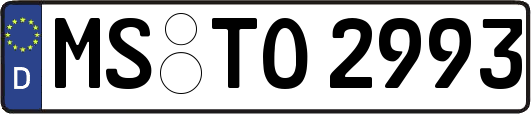 MS-TO2993