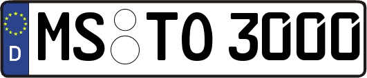 MS-TO3000
