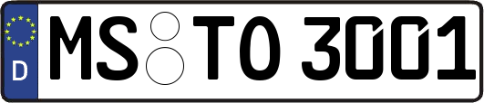 MS-TO3001