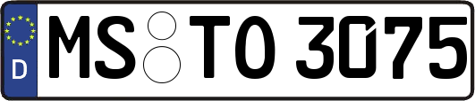 MS-TO3075