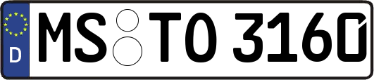 MS-TO3160