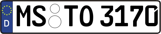 MS-TO3170