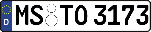 MS-TO3173