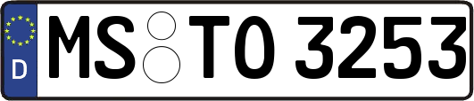 MS-TO3253
