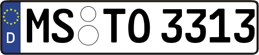 MS-TO3313