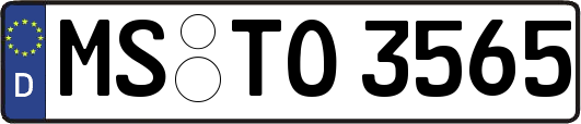 MS-TO3565