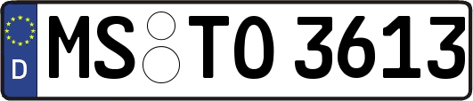 MS-TO3613