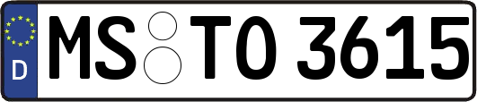 MS-TO3615