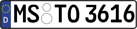 MS-TO3616