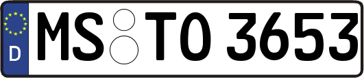MS-TO3653