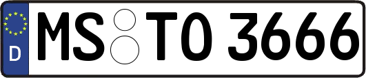 MS-TO3666