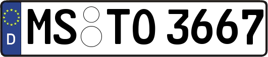 MS-TO3667