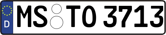 MS-TO3713