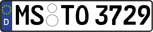 MS-TO3729