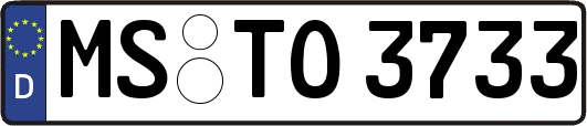 MS-TO3733