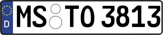 MS-TO3813