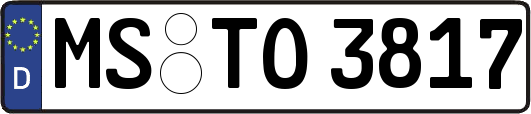 MS-TO3817