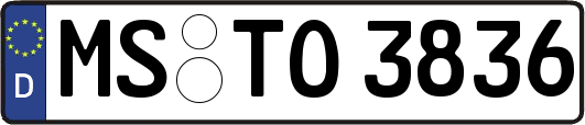 MS-TO3836