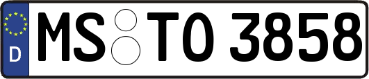 MS-TO3858