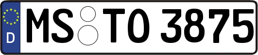 MS-TO3875