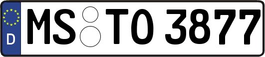 MS-TO3877