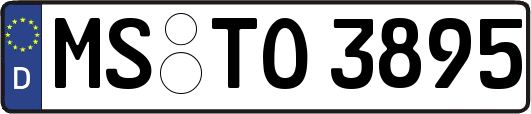 MS-TO3895