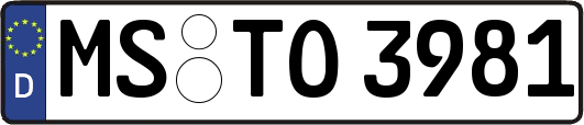 MS-TO3981