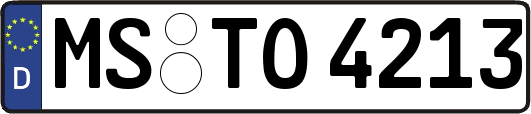 MS-TO4213