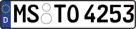 MS-TO4253