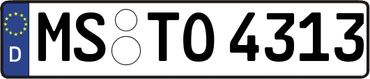 MS-TO4313