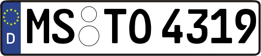 MS-TO4319