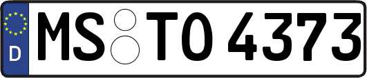 MS-TO4373