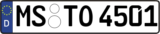 MS-TO4501