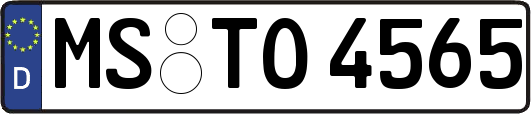 MS-TO4565