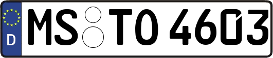 MS-TO4603