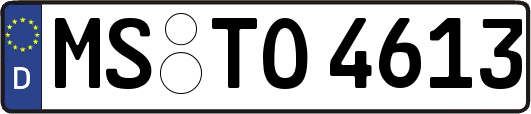 MS-TO4613