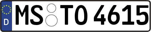 MS-TO4615