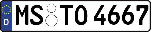 MS-TO4667