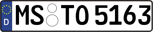 MS-TO5163