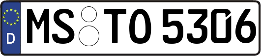 MS-TO5306