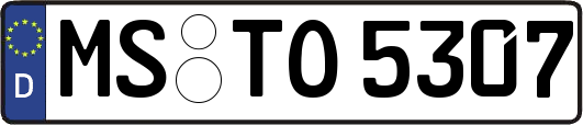 MS-TO5307