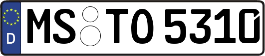 MS-TO5310