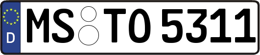 MS-TO5311