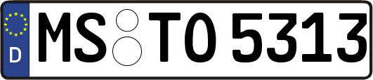 MS-TO5313