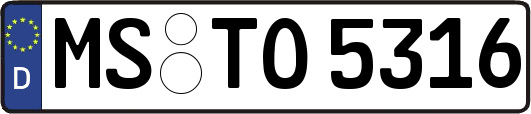 MS-TO5316