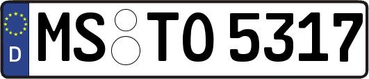 MS-TO5317