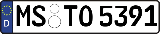 MS-TO5391