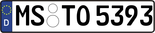 MS-TO5393
